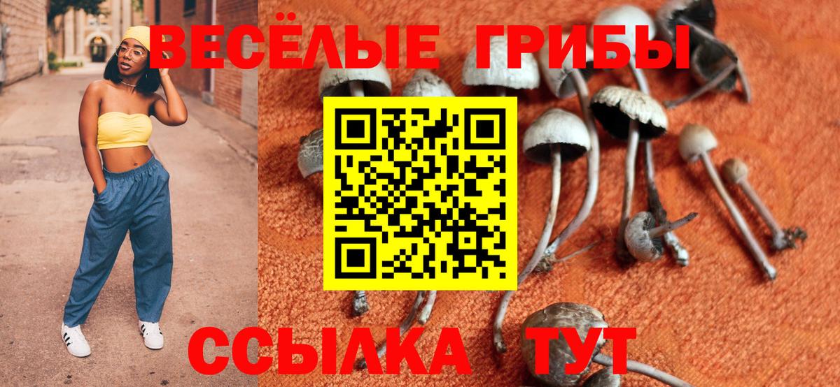 Псилоцибиновые грибы ЛСД Кинель