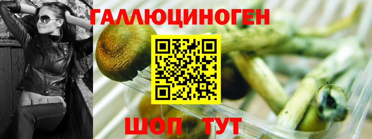 Псилоцибиновые грибы мицелий  цены   Кинель  Вход с VPN 